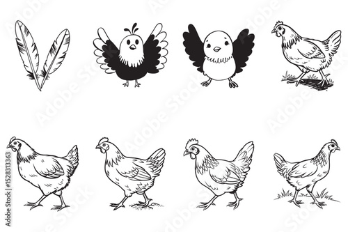 Simple Line Art Illustrations of Chickens and Chicken Parts