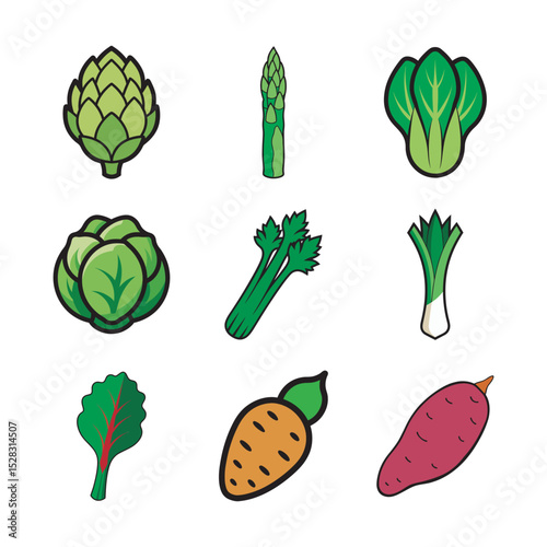 Popular Nine Vegetables Vector Set Collection