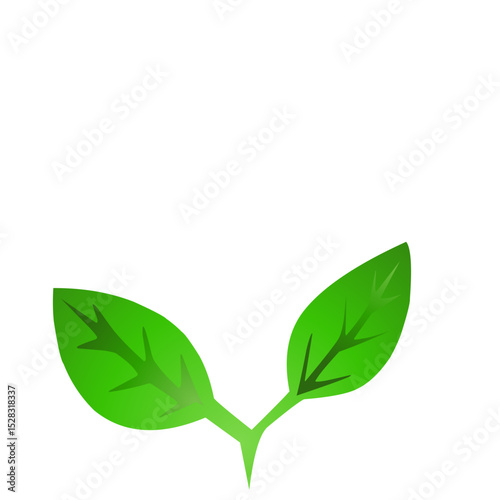 Vibrant green seedling against a stark black backdrop symbolizes growth and nature
