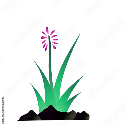 Radiant floral design illuminated against a stark black background creates visual depth