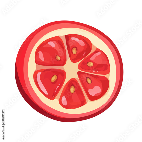 Acerola Slice illustration vector 2D flat, isolated on a white background.