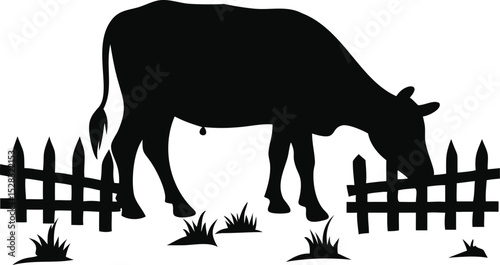 Silhouette of a cow grazing behind a fence isolated on white background