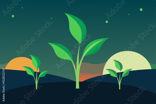 plant growing from the ground