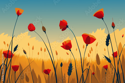 poppy field vector illustration