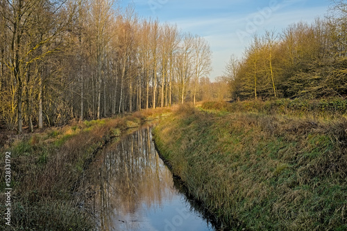 Canal through a sunny bare winter forest with reflection of trees in the water in Vinderhoutse bossen nature reserve, Flanders, Belgium 