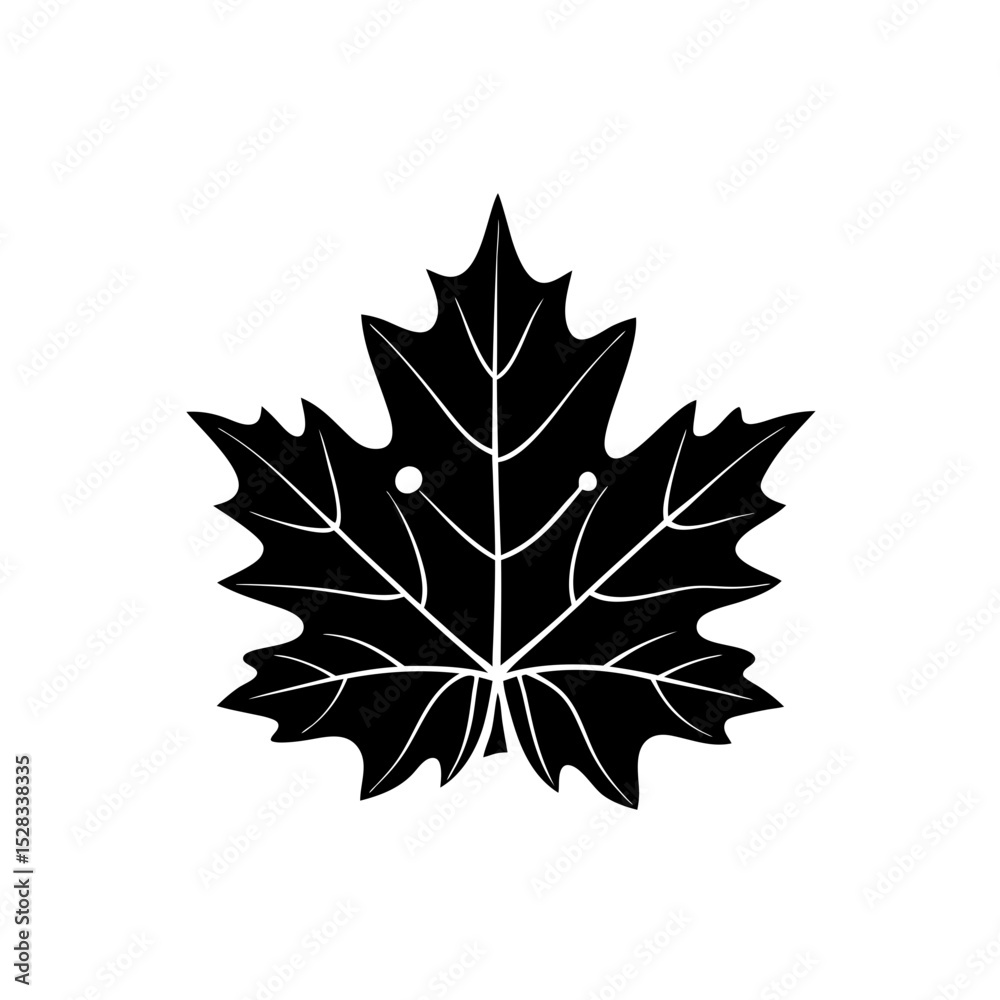 Fototapeta premium creative and simple minimal details Outline Maple leaf icon vector 