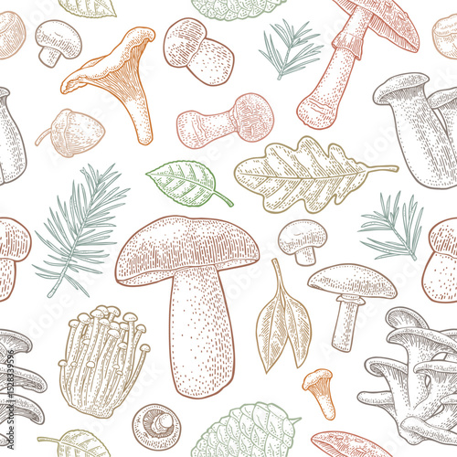 Seamless pattern mushroom. Vintage vector engraving color illustration. Isolated on white