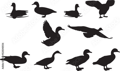 Duck vector silhouette