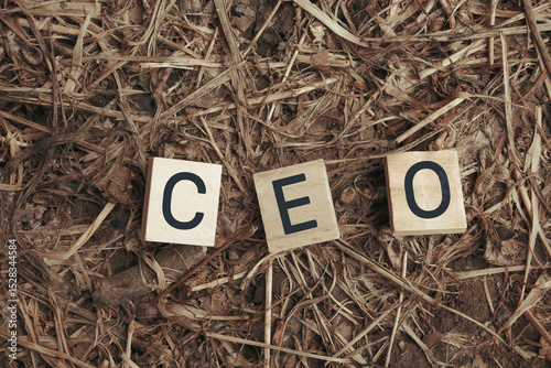 Pile of wood blocks with the letters CEO written on them