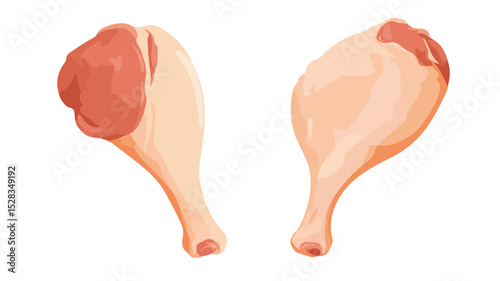 Tasty Chicken Leg Icon Vector Isolated Illustration for Design Projects