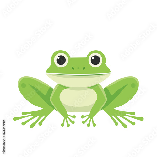 A cute green frog illustration with big eyes on a white backdrop