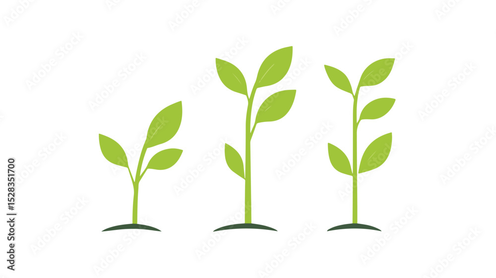 Fototapeta premium Professional Growth Chart Icon Vector Isolated Illustration