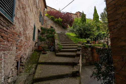 Rustic Stone Staircase in Garden