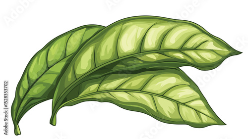 Vibrant Tobacco Leaf Cartoon Vector Illustration Isolated on White Background