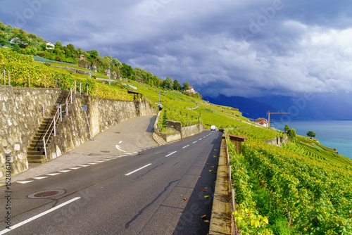 Countryside landscape of vineyard and Lake Geneva