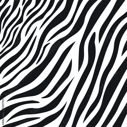 Wavy black and white zebra fur texture - Vector illustration