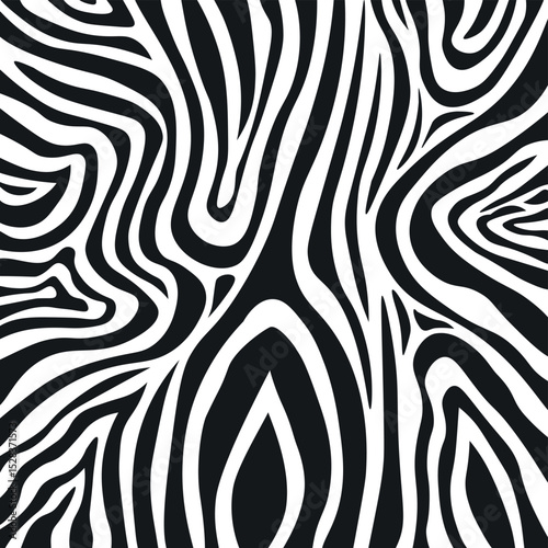 Wavy black and white zebra fur texture - Vector illustration
