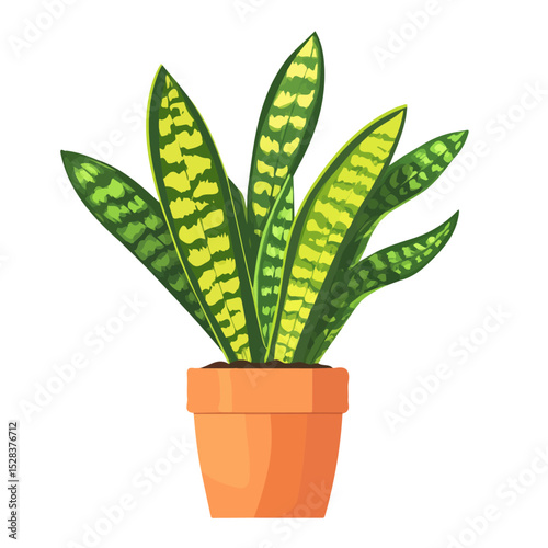 2D flat A Snake Plant vector illustration, isolated on a white background.