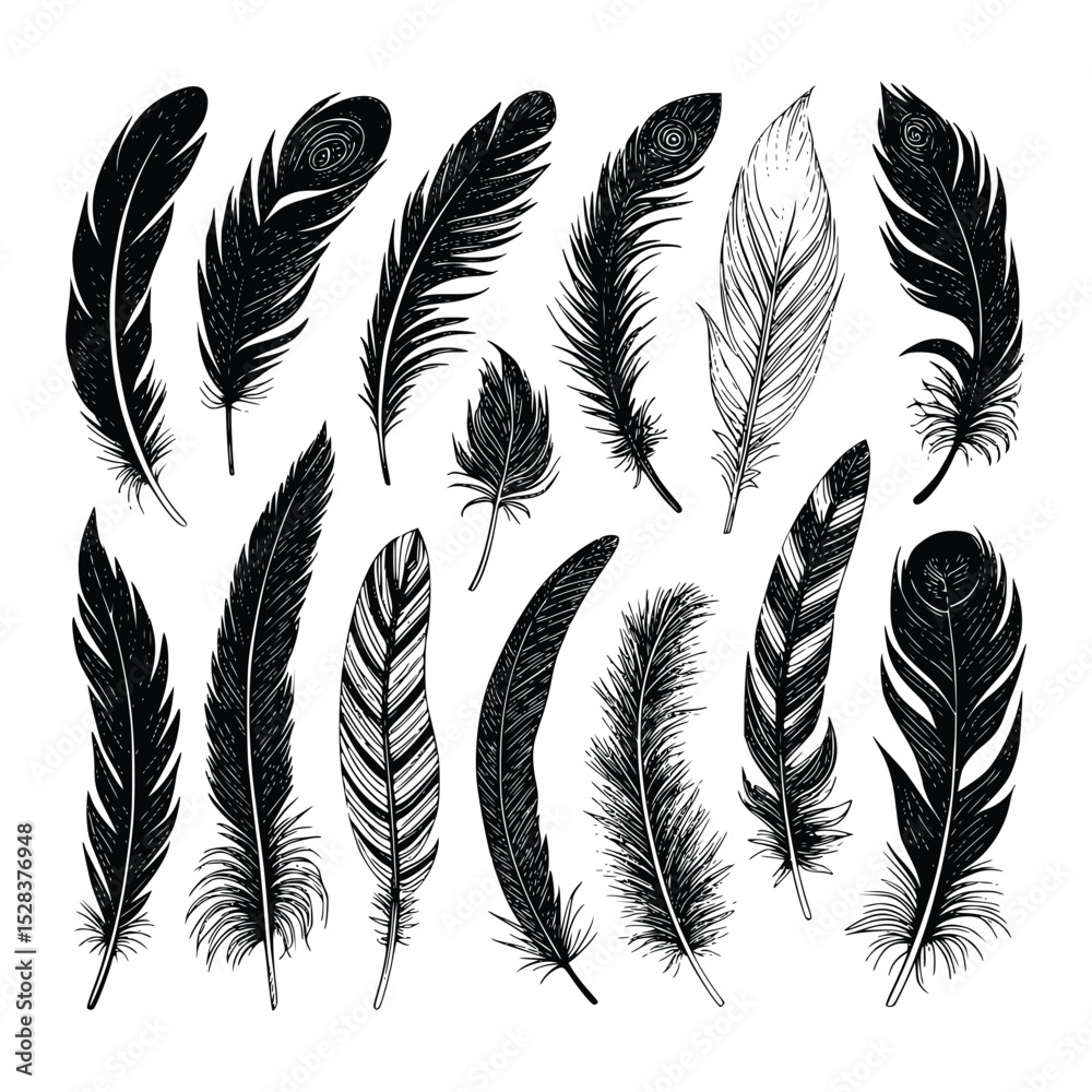 Obraz premium Hand-Drawn Feather Collection – Vintage Black and White Engraved Style Bird Feather Vector Set