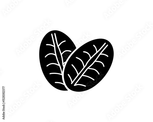 creative details Outline silhouette Coffee Bean icon vector