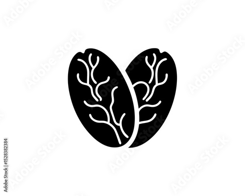 creative details Outline silhouette Coffee Bean icon vector