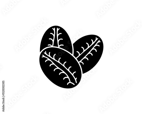 creative details Outline silhouette Coffee Bean icon vector
