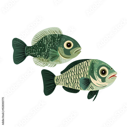 2D flat A Mother Tilapia With Her Kid illustration vector, isolated on a white background.