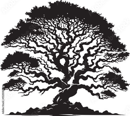A majestic, ancient oak tree stands tall, its gnarled branches reaching towards the sky, a testament to the enduring power of nature, its silhouette stark against a white background.
