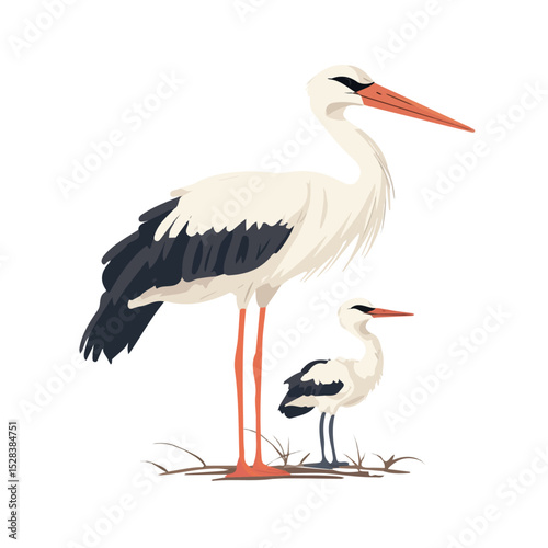 A Mother Stork With Her Kid 2D flat vector illustration, isolated on a white background.
