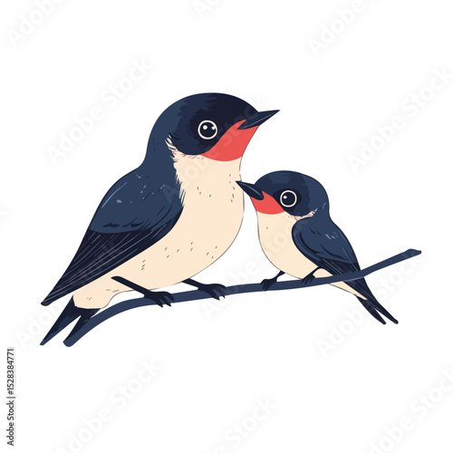 A Mother Swallow With Her Kid illustration vector 2D flat, isolated on a white background.