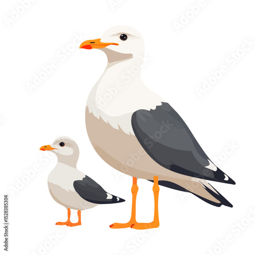 2D flat A Mother Seagull With Her Kid illustration vector, isolated on a white background.