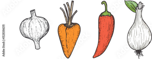 Hand-drawn vector illustration set of garlic, carrot, chili pepper, and onion isolated on white background Sketchy style drawing for culinary designs, recipes, menus, packaging, or farm-fresh product