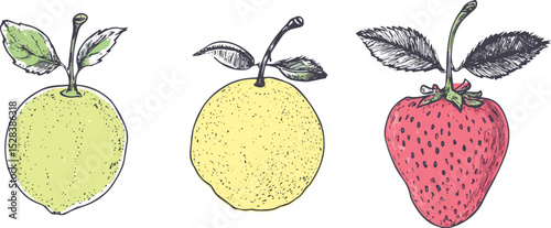 Hand-drawn vector illustration of fruits set including two lemons or limes and one strawberry with leaves isolated on white background ideal for food illustrations menu designs cookbook illustrations