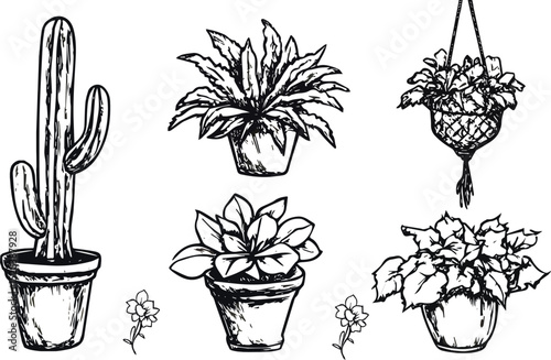 Hand-drawn potted plants vector set Cactus succulent flower pot hanging planter houseplant indoor gardening botanical illustration home decor nature sketch doodle black and white clipart graphics