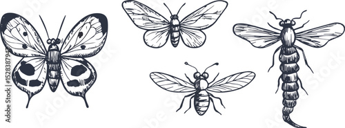 Hand-drawn insect vector set butterfly moth bee dragonfly vintage sketch style entomological collection retro illustration isolated design elements wildlife nature biology zoology monochrome flying