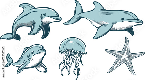 Set of marine mammals and fish Dolphin whale jellyfish starfish underwater world ocean vector illustration isolated on white background hand drawn vintage engraving style design element for label