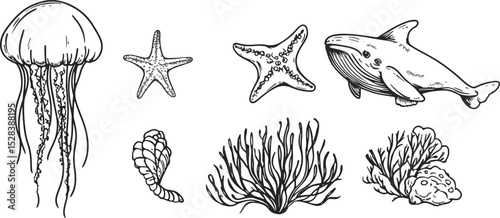 Hand-drawn vector set of ocean marine underwater animals and plants Jellyfish whale starfish seashell algae coral reef monochrome sketch doodle graphic illustration isolated on white background