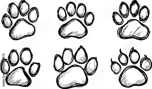 Set of Hand Drawn Vector Paw Prints Animal Footprint Dog Cat Pet Sketch Doodle Illustration Icon Design Element Isolated on White Background Wild Life Canine Mammal Track Mark Symbol Graphic Clipart