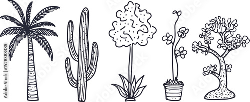 Hand Drawn Plants and Trees Vector Illustration Set including Palm Tree Cactus Succulent Potted Plant and Bonsai Tree Ideal for Nature Botanical or Gardening Projects