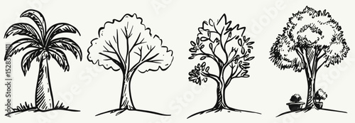 Hand drawn vector set of trees doodle collection palm tree oak tree decorative tree and potted plants nature sketch vector illustration for design element