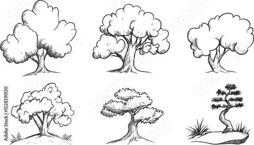 Hand Drawn Tree Vector Illustration Set Sketch Doodle Style Various Trees Forest Decorative Collection Isolated White Background Nature Plants Design Element Park Garden Landscape Drawing Botany