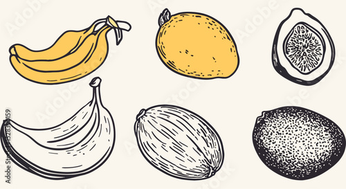 Set of hand drawn vector fruits banana mango fig cantaloupe passion fruit healthy food illustration vintage botanical drawing vegetarian food illustration isolated elements doodle style design
