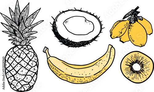 Set of hand drawn tropical fruits pineapple banana coconut kiwi date fruit vector illustration isolated on white background healthy food concept for menu design packaging label restaurant cafe