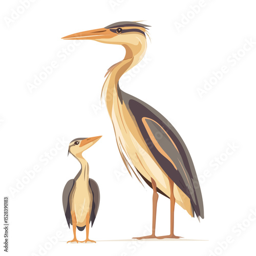 2D flat vector illustration of A Mother Bittern With Her Kid, isolated on a white background.