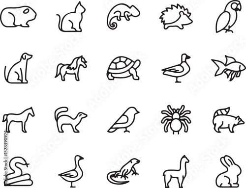 animals, icons, outline, vector, set, collection, guinea pig, cat, chameleon, hedgehog, parrot, dog, horse, turtle, duck, fish, bird, spider, raccoon, snake, goose, iguana, llama, rabbit, simple