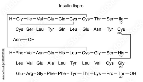 Chemical structure of insulin lispro, drug substance