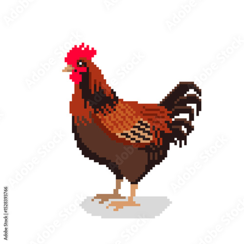 Rooster Farm animal pixel art. Vector Illustration