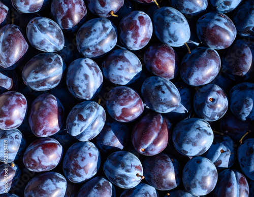 Plums still life photograph