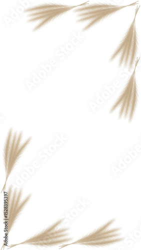 white feather border