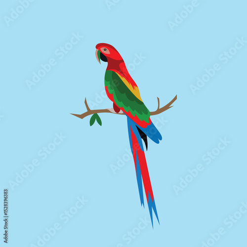 Beautiful colorful bird vector illustration